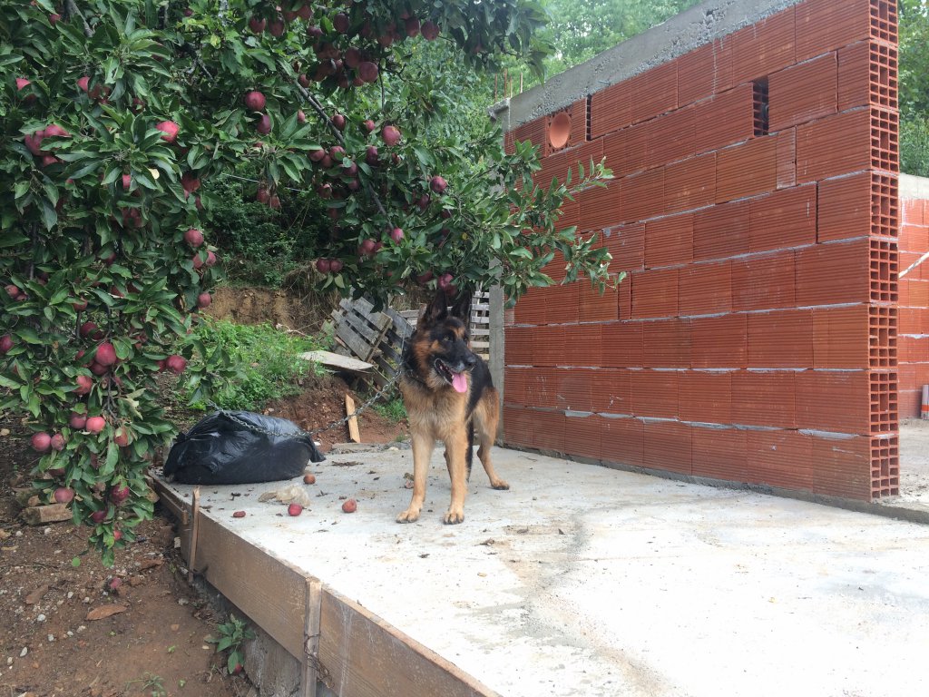 Натиснете снимката за да я уголемите
Име:IMG_7579.jpg
Прегледи:1
Размер:227.6 КБ
ID:6103249