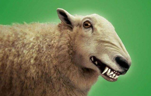 Натиснете снимката за да я уголемите
Име:received_1790062301250795.jpeg
Прегледи:1
Размер:47.3 КБ
ID:6128096