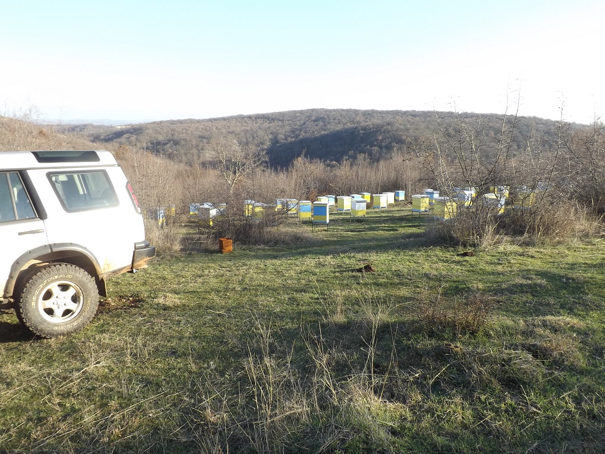 Натиснете снимката за да я уголемите
Име:2041 resized.JPG
Прегледи:1
Размер:611.8 КБ
ID:6141399