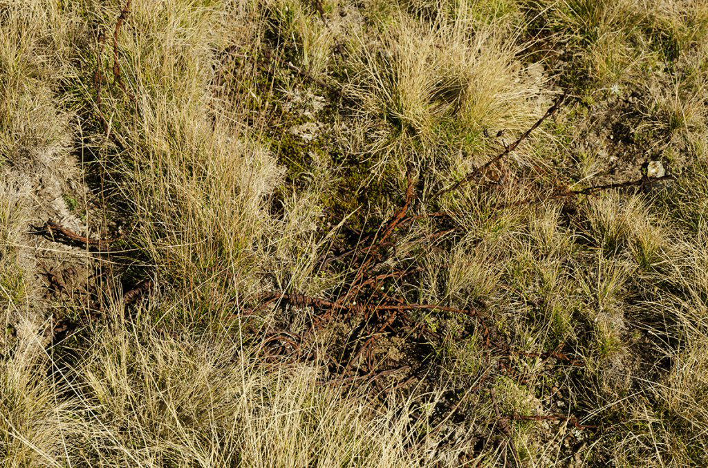 Натиснете снимката за да я уголемите
Име:DSC_5532.jpg
Прегледи:1
Размер:1.02 МБ
ID:6145881