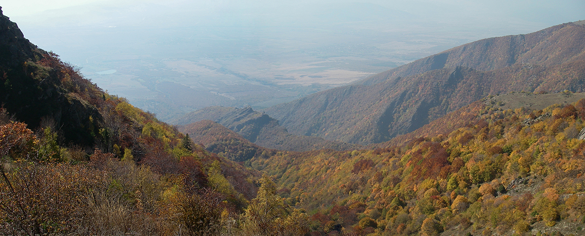 Натиснете снимката за да я уголемите
Име:Sopot080.jpg
Прегледи:1
Размер:697.0 КБ
ID:6146146