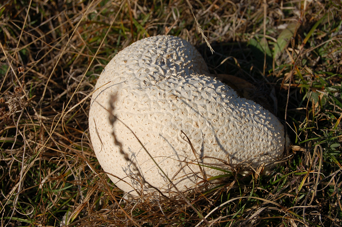 Натиснете снимката за да я уголемите
Име:Sopot098.jpg
Прегледи:1
Размер:1.09 МБ
ID:6146148