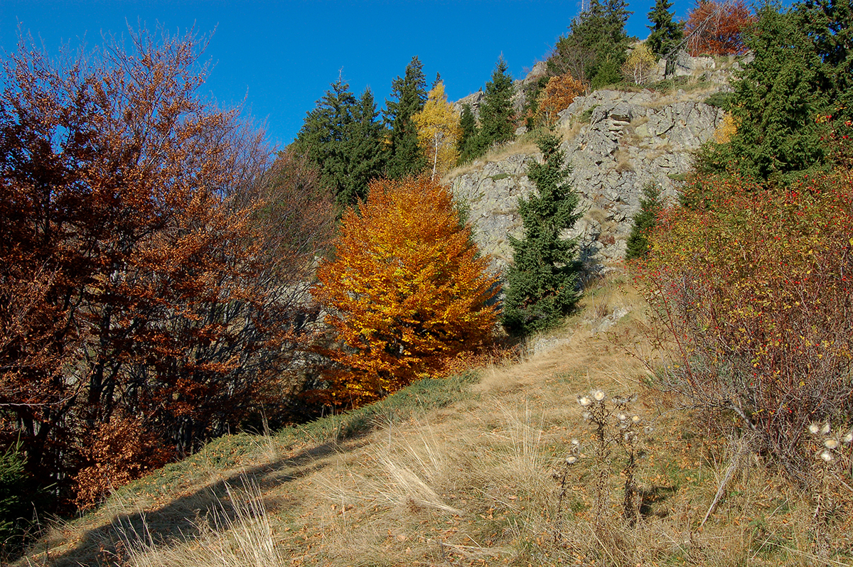 Натиснете снимката за да я уголемите
Име:Sopot104.jpg
Прегледи:1
Размер:1.62 МБ
ID:6146151