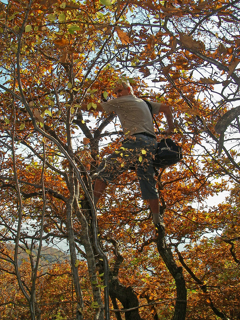 Натиснете снимката за да я уголемите
Име:Sopot108.JPG
Прегледи:1
Размер:1.57 МБ
ID:6146153