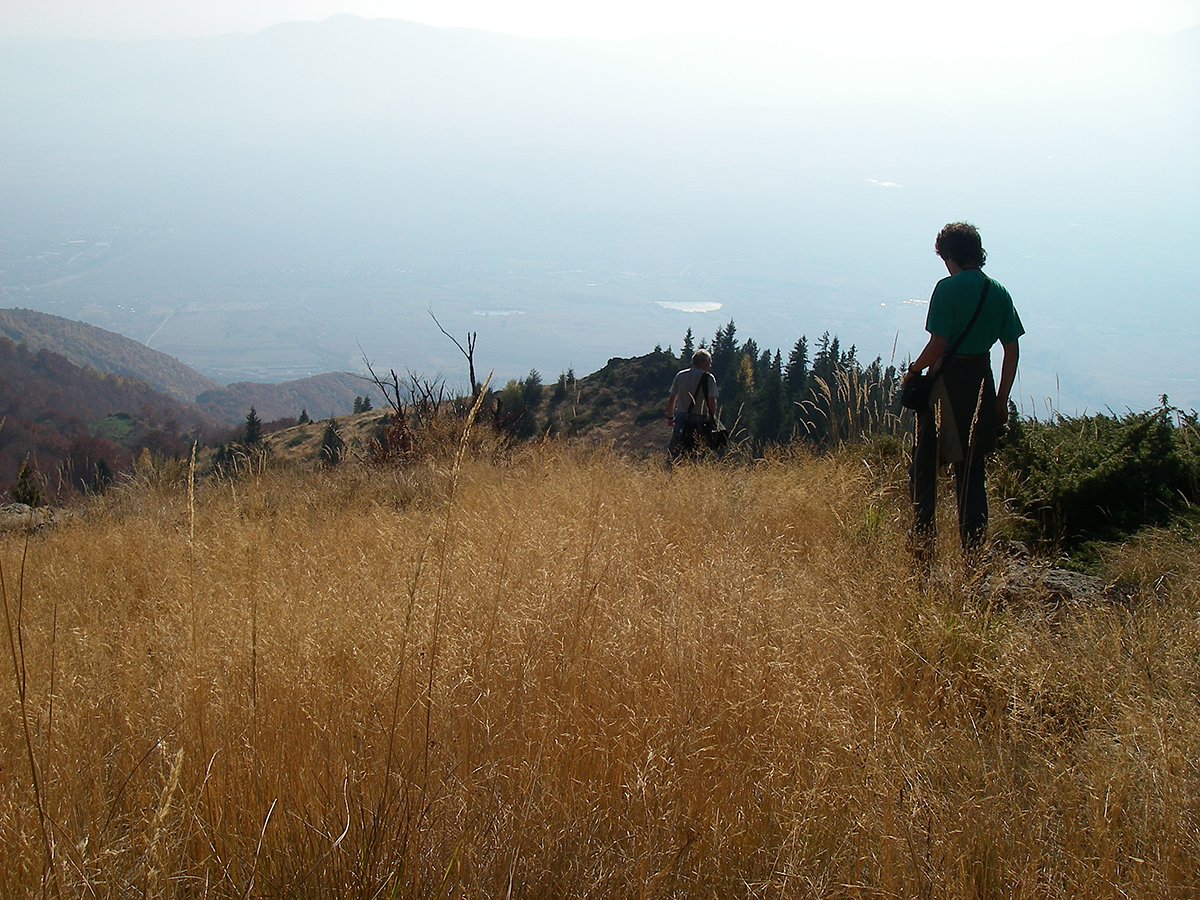 Натиснете снимката за да я уголемите
Име:Sopot095.jpg
Прегледи:1
Размер:1.01 МБ
ID:6146186