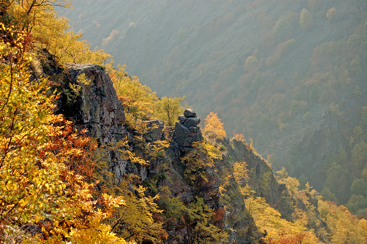 Натиснете снимката за да я уголемите
Име:Sopot122.JPG
Прегледи:1
Размер:1.32 МБ
ID:6146191