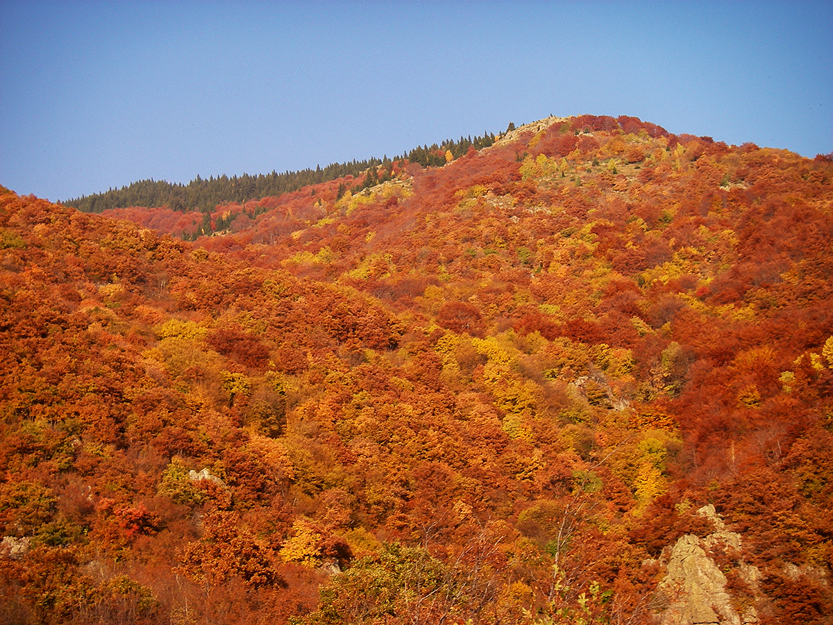 Натиснете снимката за да я уголемите
Име:Sopot106.jpg
Прегледи:1
Размер:1.49 МБ
ID:6146192