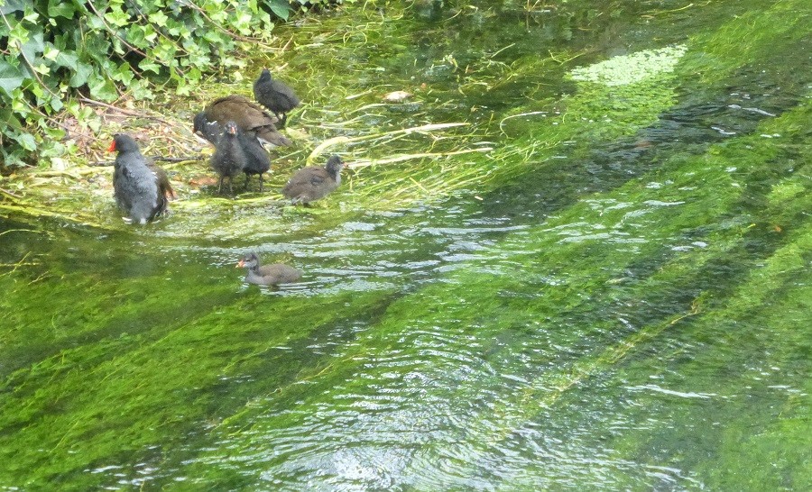 Натиснете снимката за да я уголемите
Име:1 (27).JPG
Прегледи:1
Размер:284.4 КБ
ID:6148213