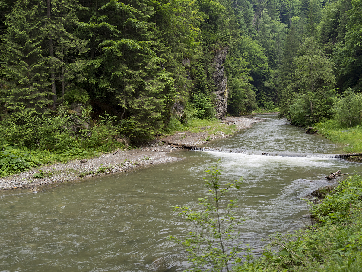 Натиснете снимката за да я уголемите
Име:P6070157.jpg
Прегледи:1
Размер:1.38 МБ
ID:5816376