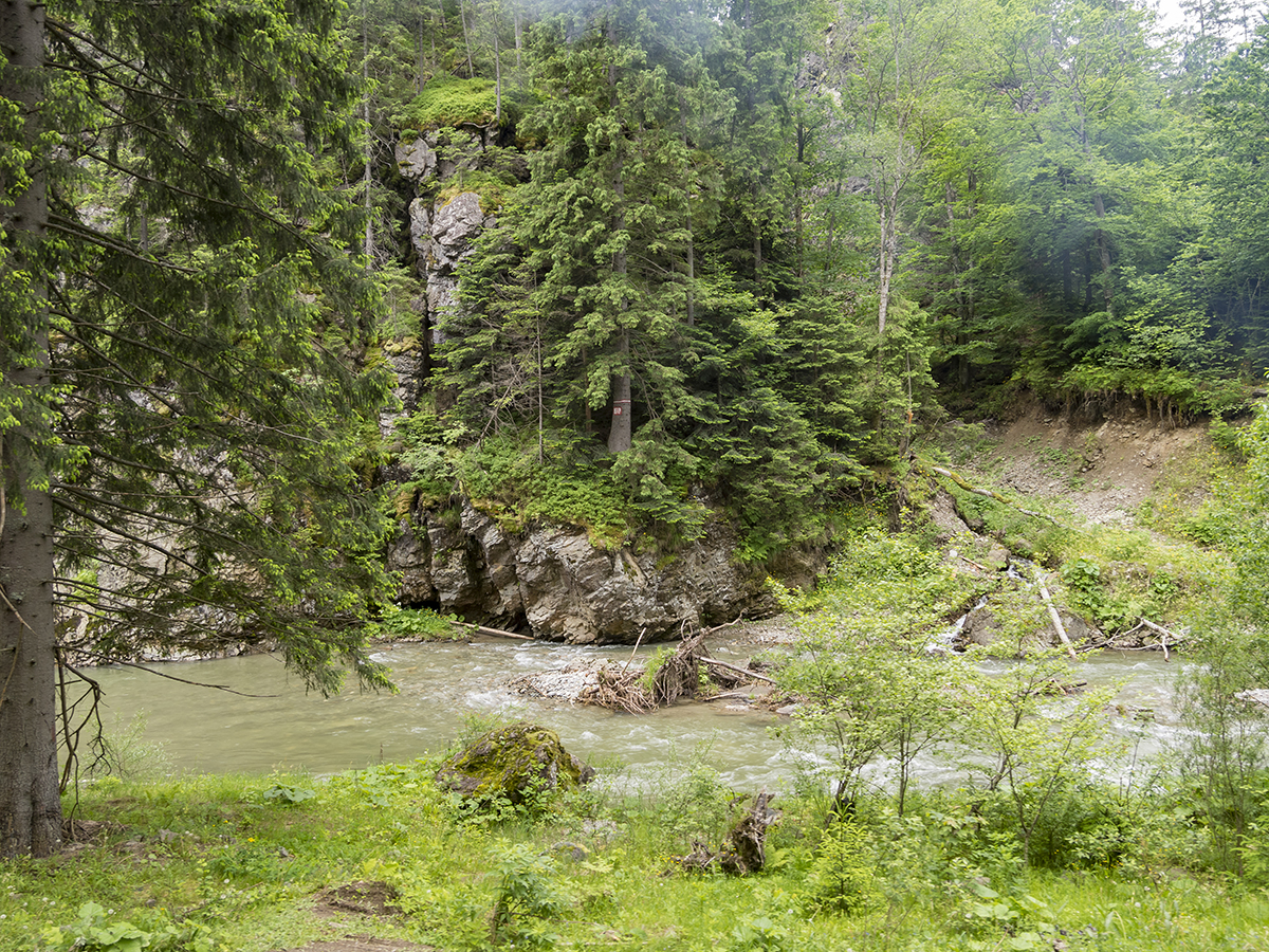 Натиснете снимката за да я уголемите
Име:P6070146.jpg
Прегледи:1
Размер:1.61 МБ
ID:5816379