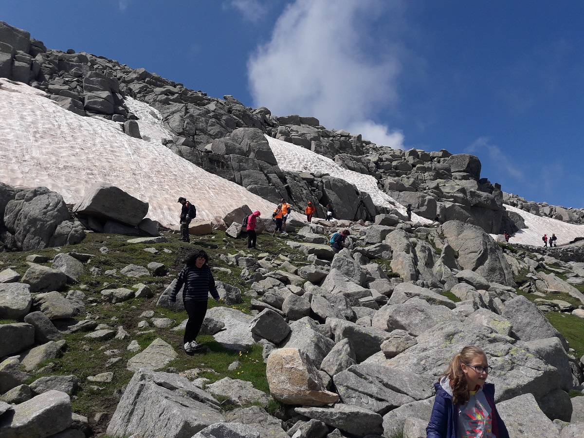 Натиснете снимката за да я уголемите
Име:20180714_120105.jpg
Прегледи:2
Размер:540.8 КБ
ID:6148627