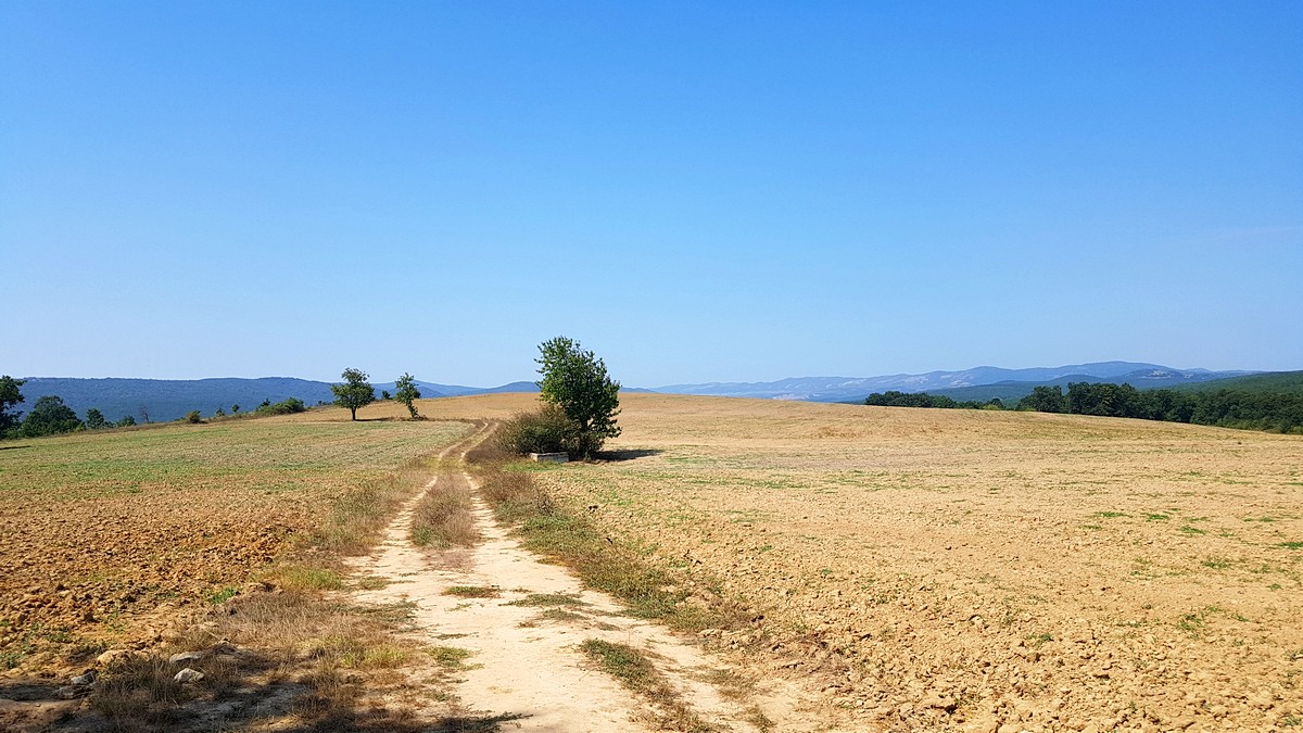 Натиснете снимката за да я уголемите
Име:20180904_120256.jpg
Прегледи:1
Размер:262.5 КБ
ID:6149599