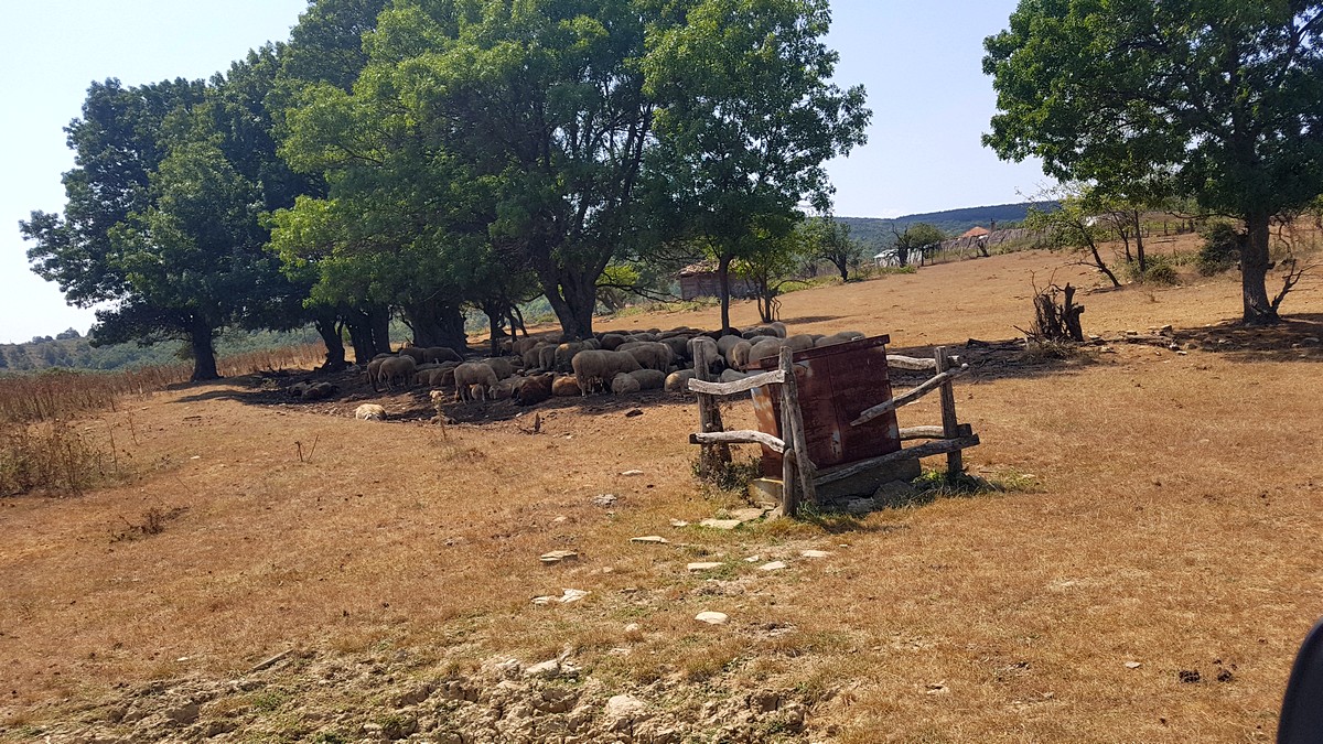 Натиснете снимката за да я уголемите
Име:20180904_125507.jpg
Прегледи:1
Размер:410.5 КБ
ID:6149643