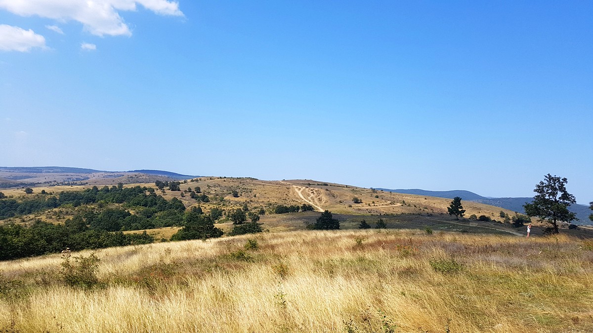 Натиснете снимката за да я уголемите
Име:20180904_131501.jpg
Прегледи:1
Размер:254.6 КБ
ID:6149652