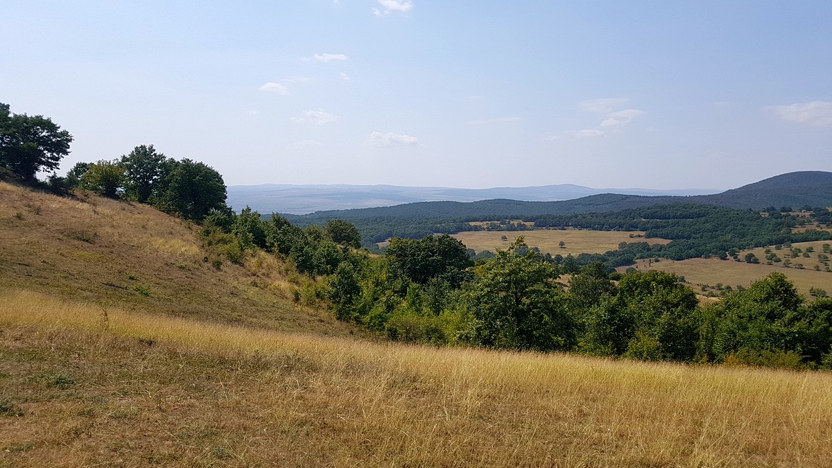 Натиснете снимката за да я уголемите
Име:20180904_132917.jpg
Прегледи:1
Размер:284.2 КБ
ID:6149656