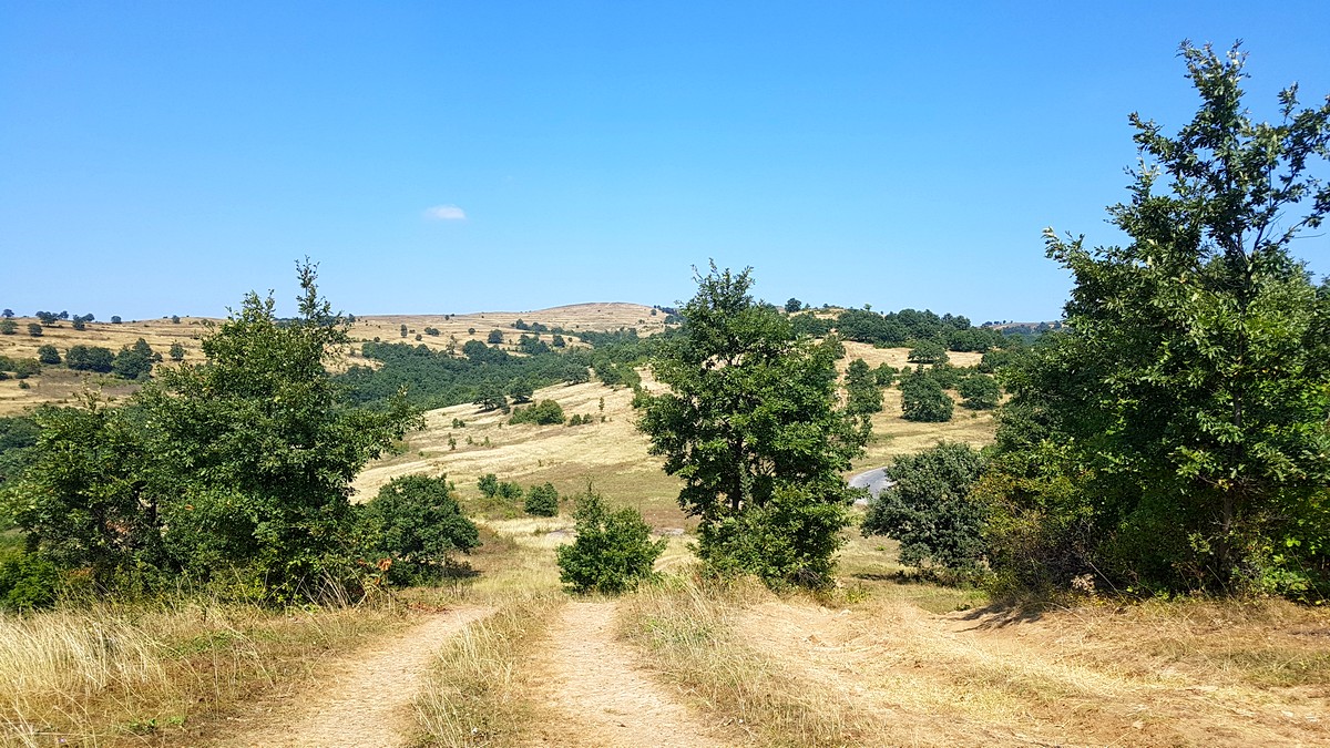 Натиснете снимката за да я уголемите
Име:20180904_132923.jpg
Прегледи:1
Размер:355.2 КБ
ID:6149657