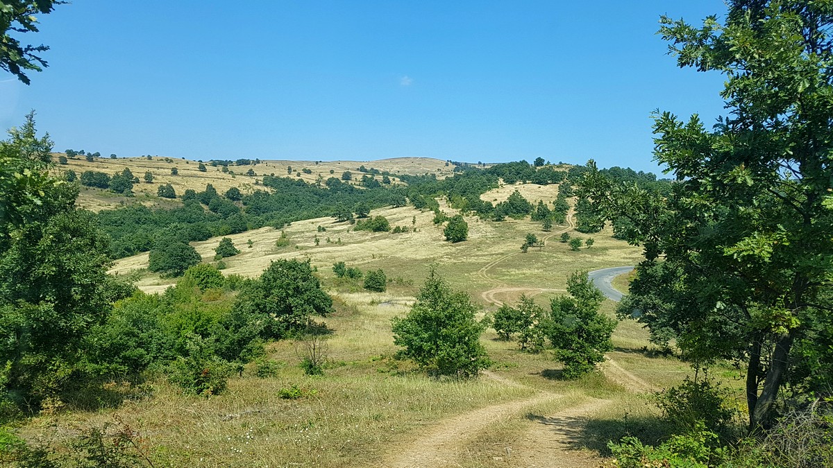 Натиснете снимката за да я уголемите
Име:20180904_133324.jpg
Прегледи:1
Размер:379.5 КБ
ID:6149662