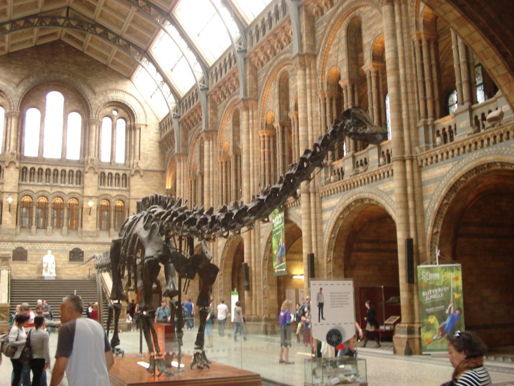 Натиснете снимката за да я уголемите
Име:DSC05733.jpg
Прегледи:1
Размер:166.6 КБ
ID:5935970