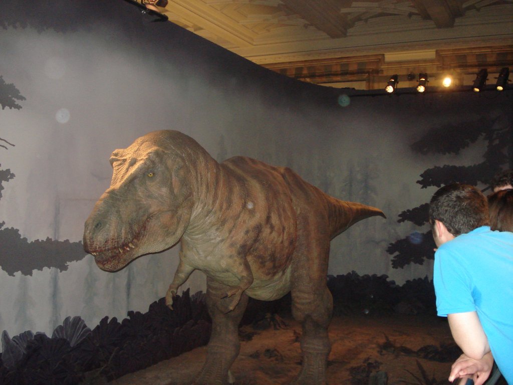 Натиснете снимката за да я уголемите
Име:DSC05737.jpg
Прегледи:1
Размер:107.9 КБ
ID:5935971