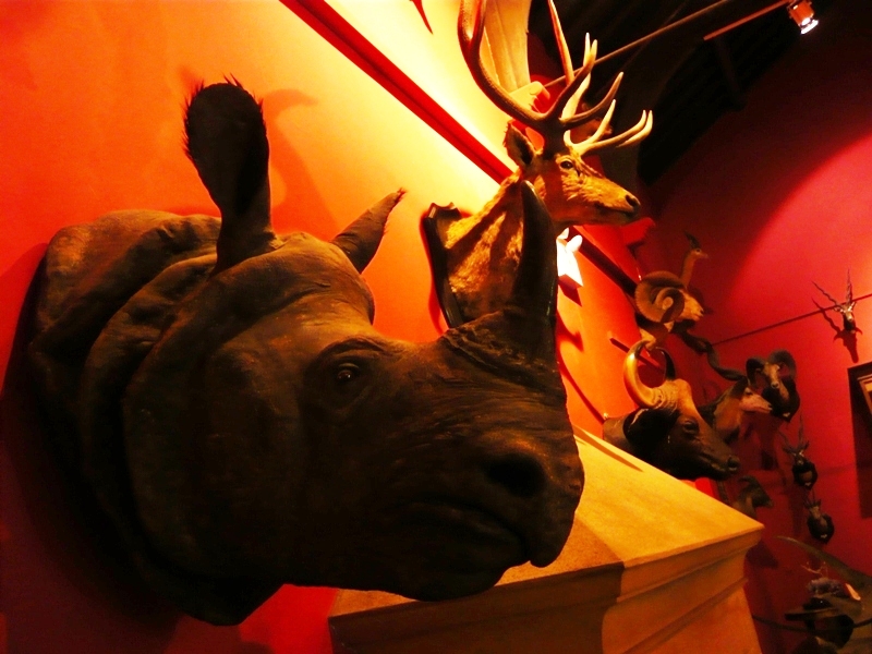 Натиснете снимката за да я уголемите
Име:1 (192).JPG
Прегледи:1
Размер:292.3 КБ
ID:6001857