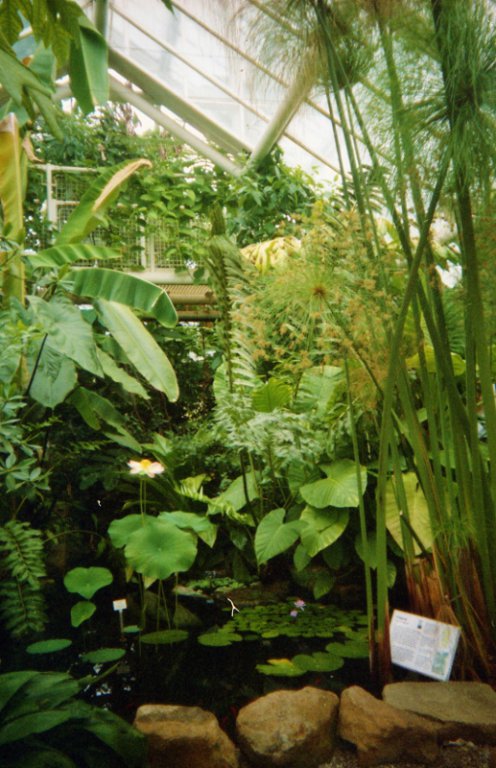 Натиснете снимката за да я уголемите
Име:img344 (517x800).jpg
Прегледи:1
Размер:95.4 КБ
ID:6055127