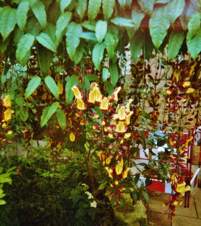 Натиснете снимката за да я уголемите
Име:img345 (713x800).jpg
Прегледи:1
Размер:155.1 КБ
ID:6055128