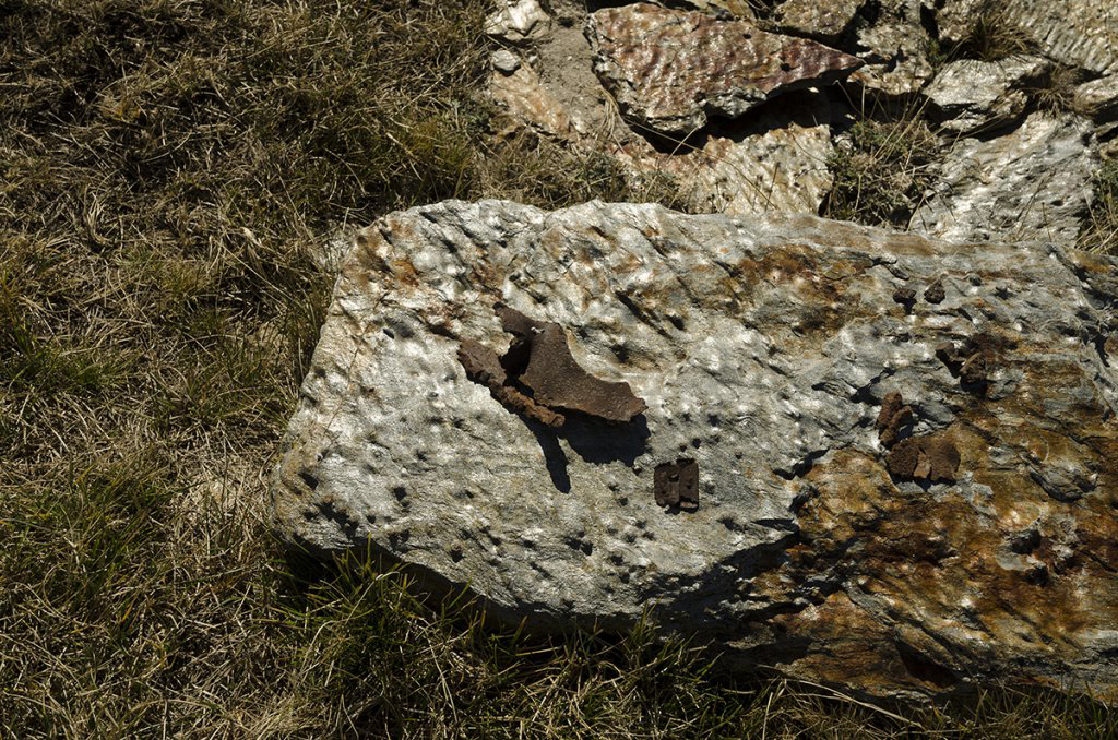 Натиснете снимката за да я уголемите
Име:DSC_5518.jpg
Прегледи:1
Размер:788.6 КБ
ID:6145884